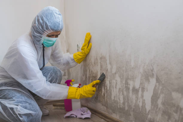 Water Damage Restoration in Town Creek, AL