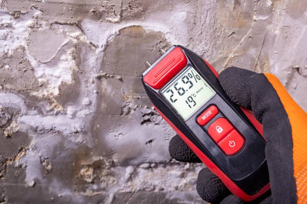 Mold Testing and Removal in Town Creek, AL