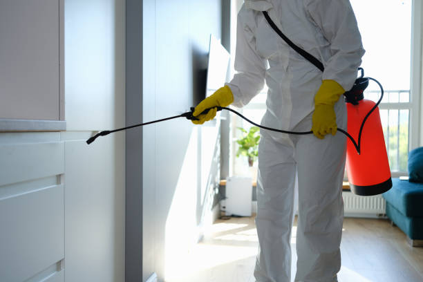 Best Office Mold Removal Services  in Town Creek, AL